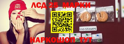 шишки Жуковский