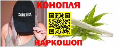 шишки Жуковский