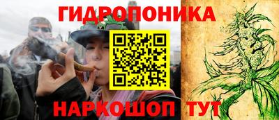 ПСИЛОЦИБИНОВЫЕ ГРИБЫ Заводоуковск