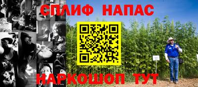 ПСИЛОЦИБИНОВЫЕ ГРИБЫ Заводоуковск