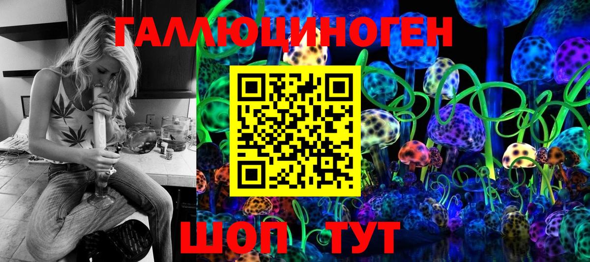 Галлюциногенные грибы Psilocybine cubensis  Вход с VPN  Георгиевск 